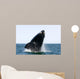 Adult Southern Right Whale Wall Decal Design 11