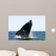 Adult Southern Right Whale Wall Decal Design 11