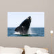 Adult Southern Right Whale Wall Decal Design 11