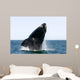 Adult Southern Right Whale Wall Decal Design 11