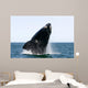 Adult Southern Right Whale Wall Decal Design 11