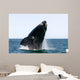 Adult Southern Right Whale Wall Decal Design 11