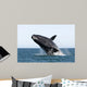 Adult Southern Right Whale Wall Decal Design 10