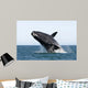 Adult Southern Right Whale Wall Decal Design 10