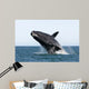Adult Southern Right Whale Wall Decal Design 10