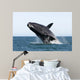 Adult Southern Right Whale Wall Decal Design 10