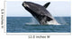 Adult Southern Right Whale Wall Decal Design 10