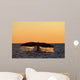 Adult Southern Right Whale Wall Decal Design 9