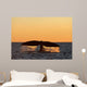 Adult Southern Right Whale Wall Decal Design 9