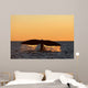 Adult Southern Right Whale Wall Decal Design 9
