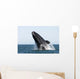 Adult Southern Right Whale Wall Decal Design 8