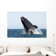 Adult Southern Right Whale Wall Decal Design 8