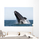 Adult Southern Right Whale Wall Decal Design 8