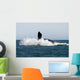 Adult Southern Right Whale Wall Decal Design 7