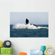 Adult Southern Right Whale Wall Decal Design 7