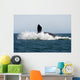 Adult Southern Right Whale Wall Decal Design 7