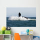 Adult Southern Right Whale Wall Decal Design 7