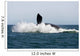 Adult Southern Right Whale Wall Decal Design 7