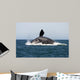 Adult Southern Right Whale Wall Decal Design 6