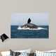 Adult Southern Right Whale Wall Decal Design 6