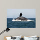 Adult Southern Right Whale Wall Decal Design 6
