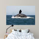 Adult Southern Right Whale Wall Decal Design 6