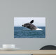 Adult Southern Right Whale Wall Decal Design 5