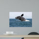 Adult Southern Right Whale Wall Decal Design 5