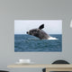 Adult Southern Right Whale Wall Decal Design 5