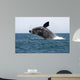 Adult Southern Right Whale Wall Decal Design 5