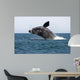 Adult Southern Right Whale Wall Decal Design 5