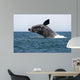 Adult Southern Right Whale Wall Decal Design 5