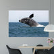 Adult Southern Right Whale Wall Decal Design 5