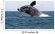 Adult Southern Right Whale Wall Decal Design 5