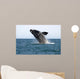 Adult Southern Right Whale Wall Decal Design 4