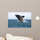 Adult Southern Right Whale Wall Decal Design 4