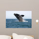 Adult Southern Right Whale Wall Decal Design 4
