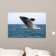 Adult Southern Right Whale Wall Decal Design 4