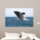 Adult Southern Right Whale Wall Decal Design 4