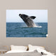 Adult Southern Right Whale Wall Decal Design 4