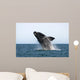 Adult Southern Right Whale Wall Decal Design 3