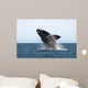 Adult Southern Right Whale Wall Decal Design 3