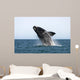 Adult Southern Right Whale Wall Decal Design 3