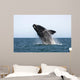 Adult Southern Right Whale Wall Decal Design 3