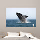 Adult Southern Right Whale Wall Decal Design 3