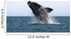 Adult Southern Right Whale Wall Decal Design 3