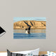 Southern Right Whale Calf Wall Decal Design 3
