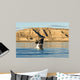 Southern Right Whale Calf Wall Decal Design 3