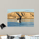 Southern Right Whale Calf Wall Decal Design 3