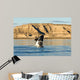Southern Right Whale Calf Wall Decal Design 3